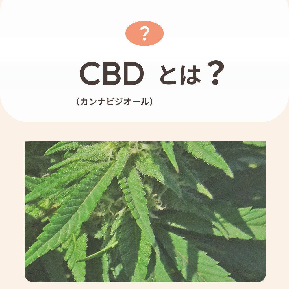 CBDオイル ペット用 10ml or 30ml 1.2% 小型犬 中型犬 用 CBD 120mg or CBD 360mg CannaTech CBD OIL for Pets Calm & Stress