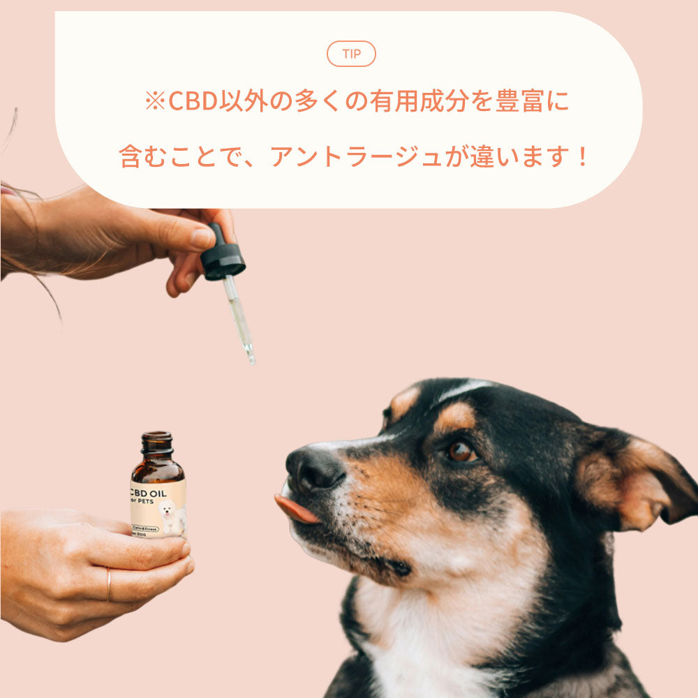 CBDオイル ペット用 10ml or 30ml 1.2% 小型犬 中型犬 用 CBD 120mg or CBD 360mg CannaTech CBD OIL for Pets Calm & Stress