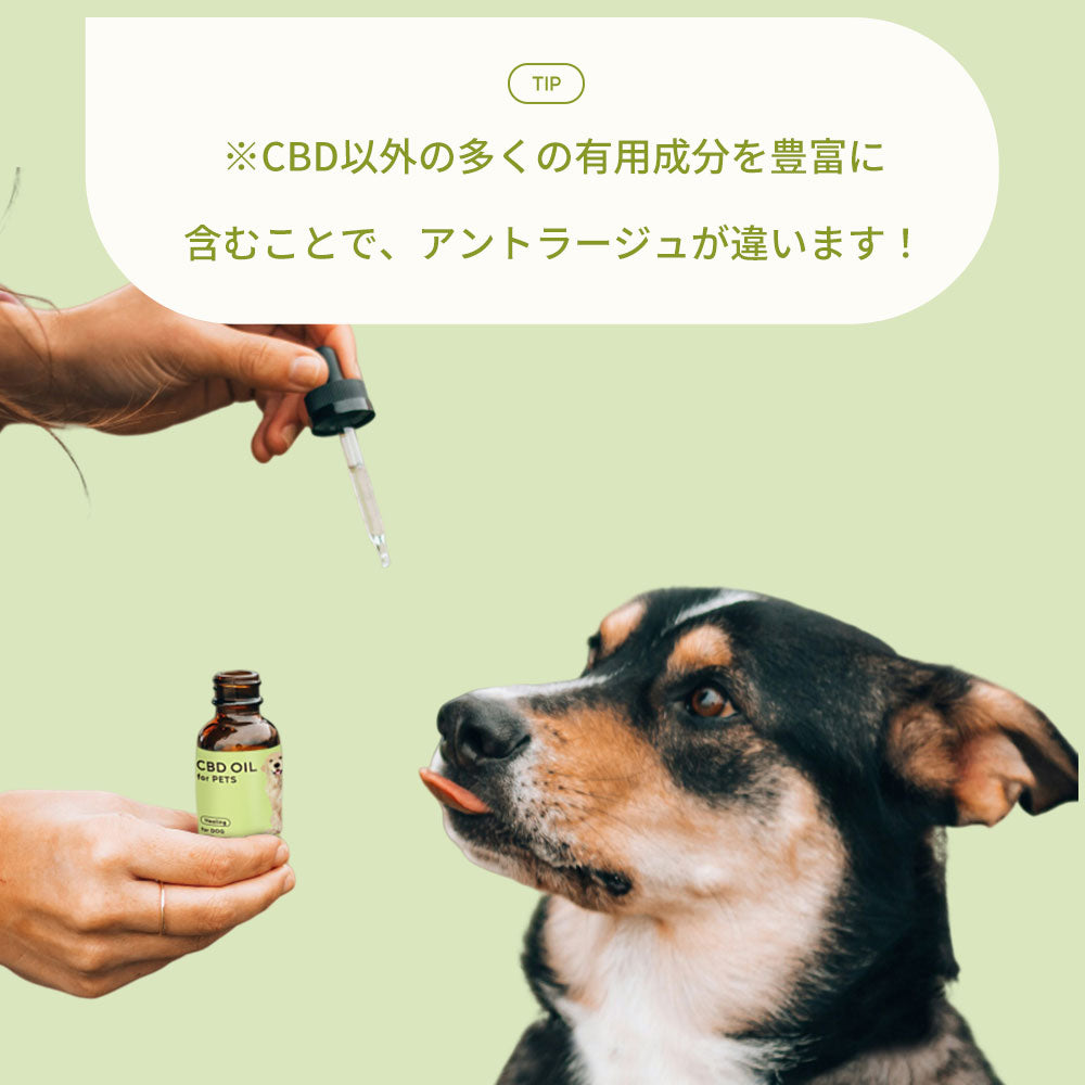 CBDオイル ペット用 30ml 4% 大型犬 用 CBD 1200mg CannaTech CBD OIL for Pets Healing