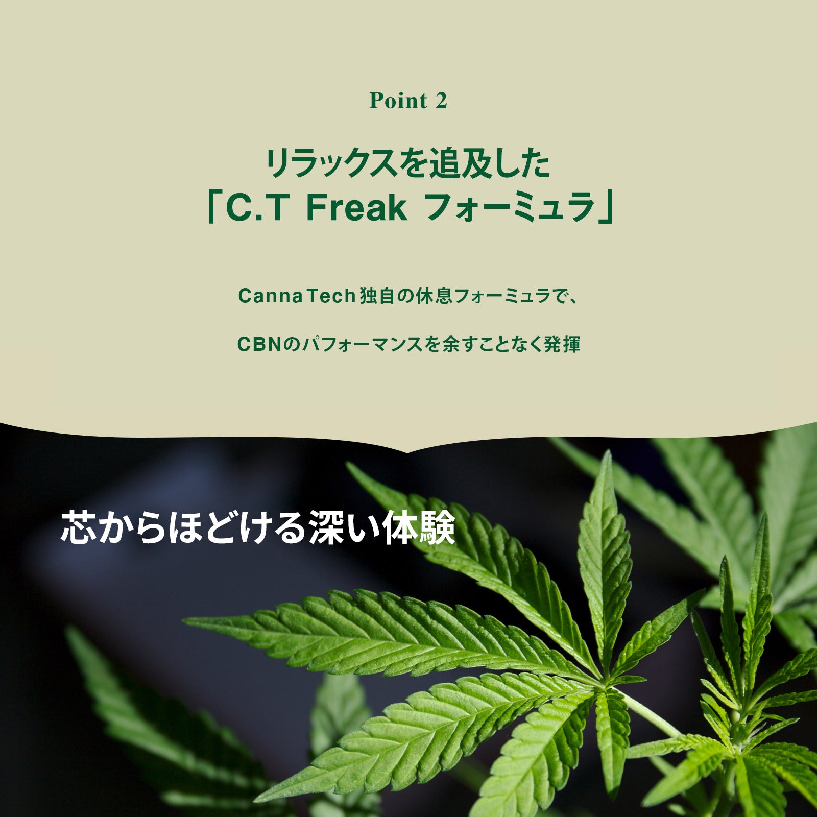 CT Freak CBN CBD グミ Feel Deeply ( CBN 150mg /粒 )｜ ( CBD 150mg /粒 )