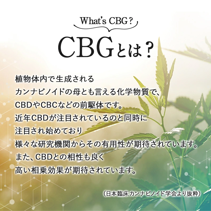 CBG グミ CBD 配合 ( CBG 25mg + CBD 25mg /粒 ) 60粒 CBG + CBD 3,000mg or 10粒 CBG + CBD 500mg