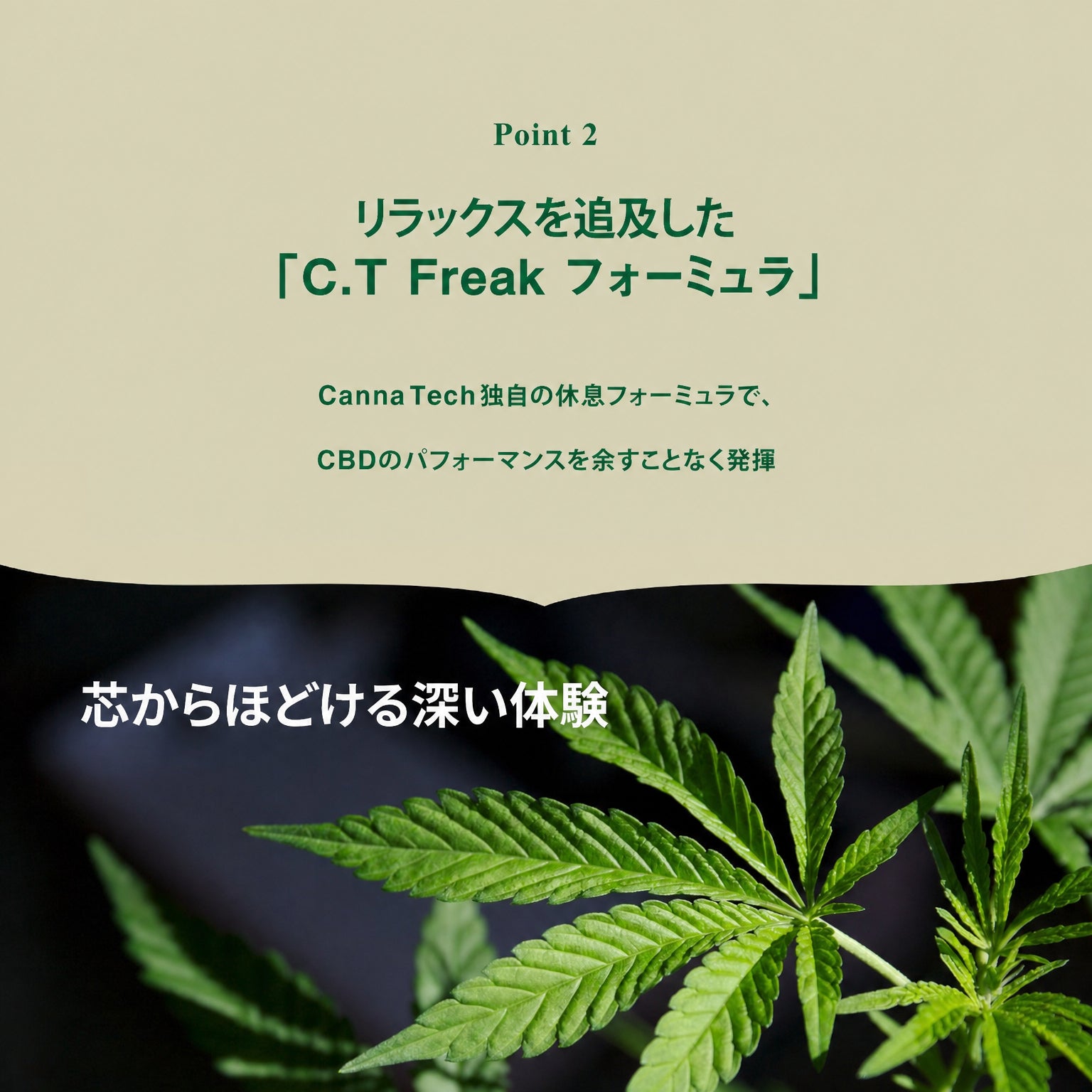 CT Freak 高濃度 CBD グミ FEEL DEEPLY ( CBD 150mg /粒) 18粒 CBD
