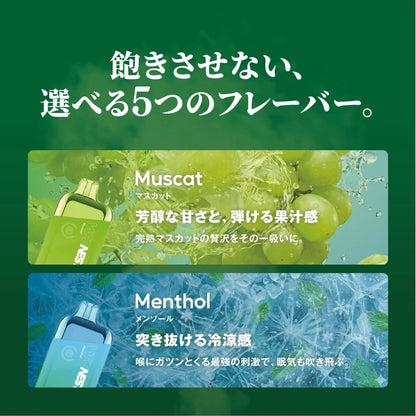 VAPE NEST CBD配合コンディショニングベイプ
