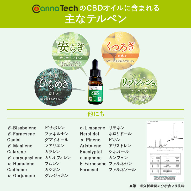 ブロードスペクトラムCBD オイル 6% CBD 600mg配合 10g – CannaTech 