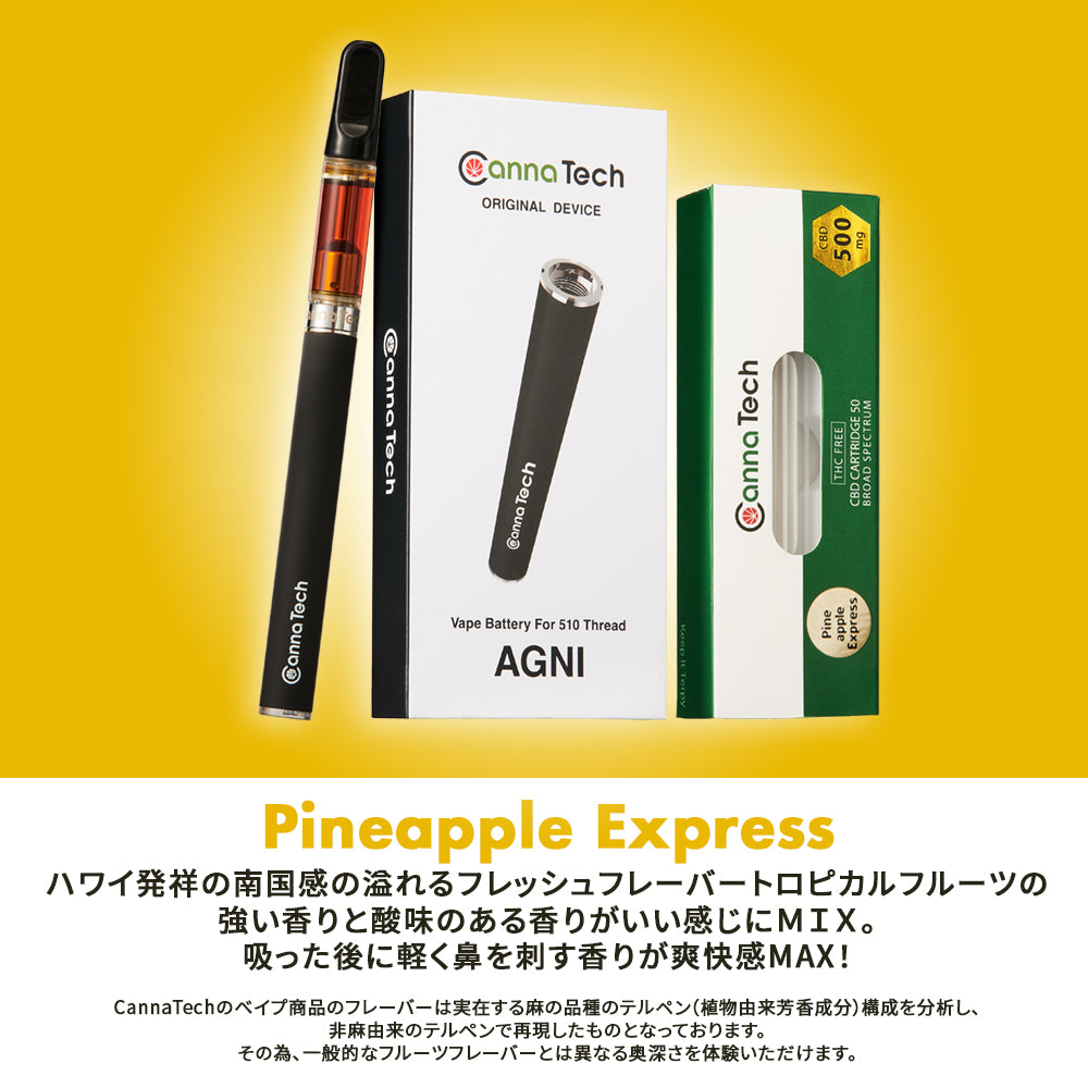 CannaTech 】CBD 50% リキッド 1g スターターセット（オリジナルデバイス 『 AGNI 』付属） – CannaTech 公式ストア